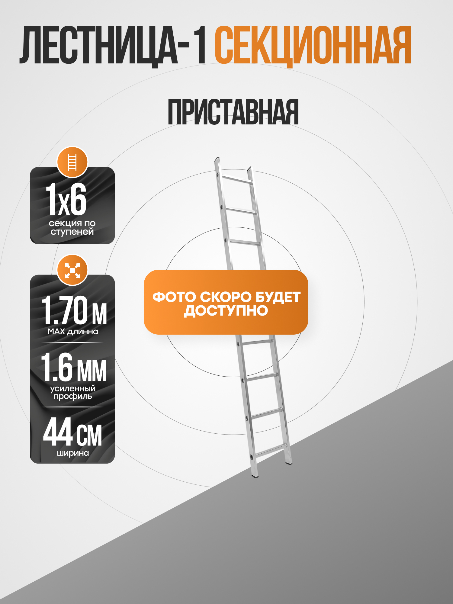 Лестница односекционная приставная 1х6, PT1446